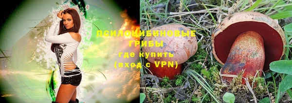 бошки Верея
