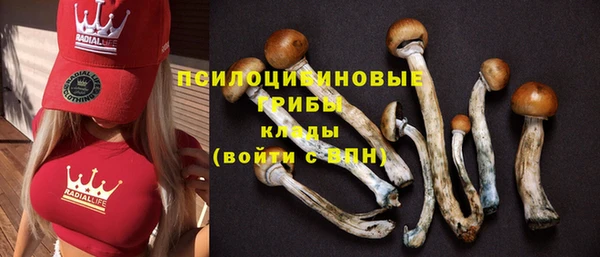 бошки Верея