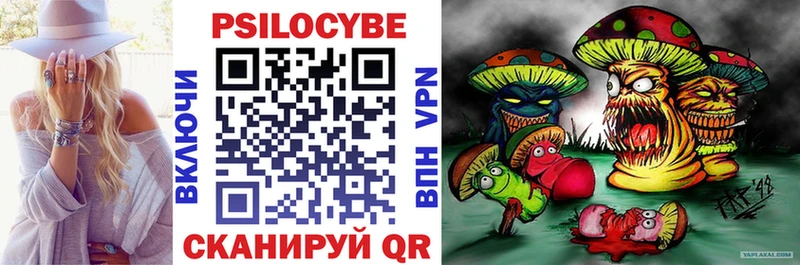 Галлюциногенные грибы MAGIC MUSHROOMS  купить наркоту  Северобайкальск 
